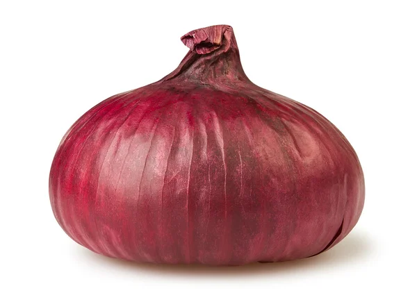 Onion red one — Stock Photo, Image