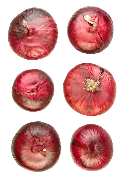 Cibule červená různé — Stock fotografie