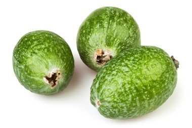 Feijoa üç