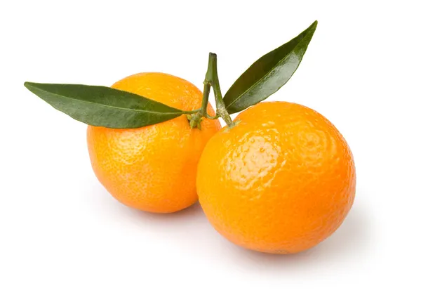 Tangerine två — Stockfoto