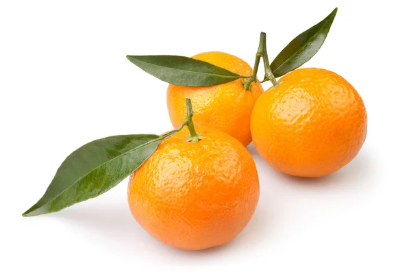 Mandarino tre — Foto Stock