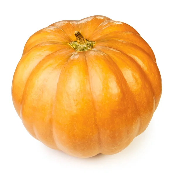 Calabaza uno —  Fotos de Stock