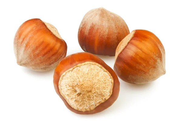 Hazelnuts group — Stock Photo, Image