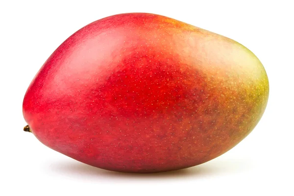 Mango lleno — Foto de Stock