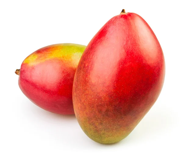 Mango zwei — Stockfoto