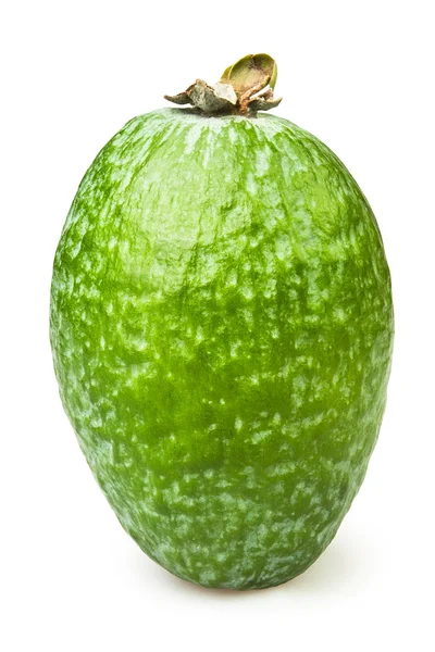 Feijoa, egy — Stock Fotó