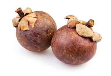 Mangosteen