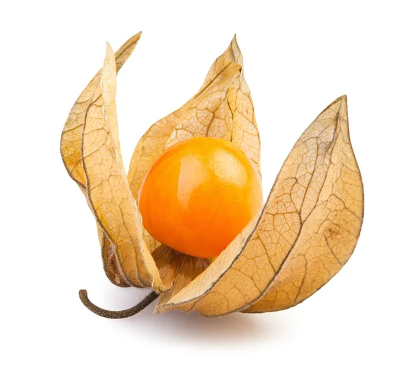 Physalis, jedenPhysalis en — Stock fotografie