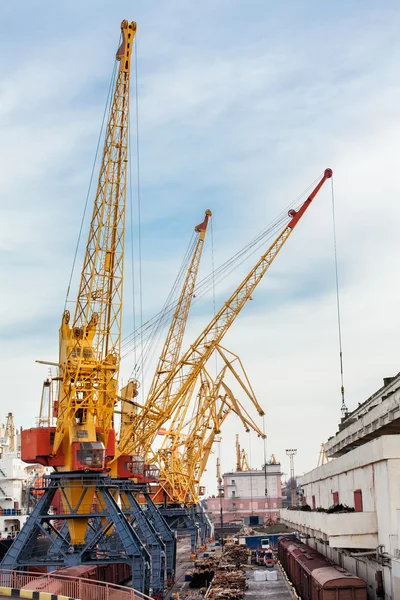 Port cranes — Stock Photo, Image