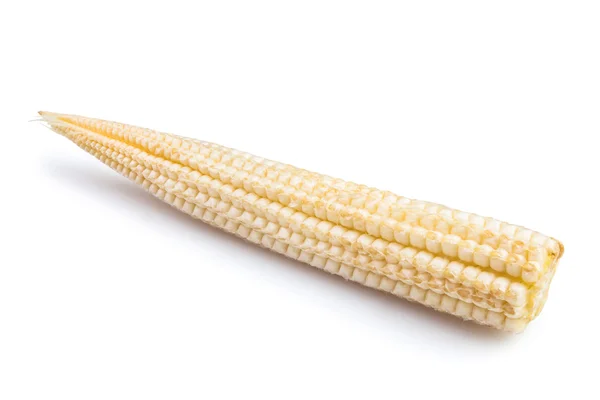 Corn mini one — Stock Photo, Image