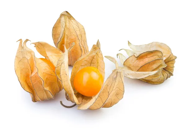 Physalis grupp — Stockfoto