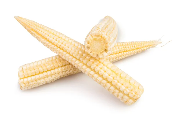 Corn mini group — Stock Photo, Image
