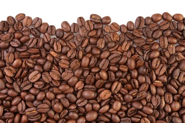 Coffee beans — Stock Photo, Image