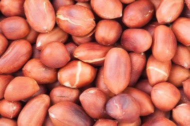 kızartılmış fıstık