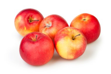 Apple grup
