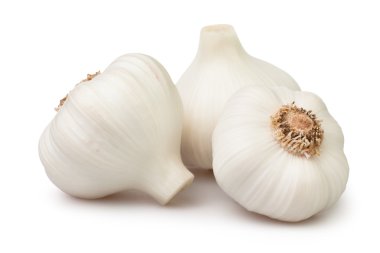 sarımsak grubu