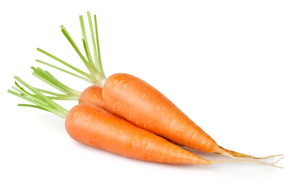 Carrot group — Stock Photo, Image