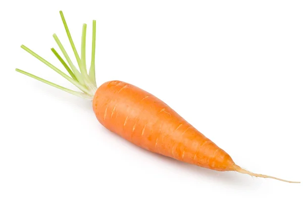 Zanahoria uno — Foto de Stock