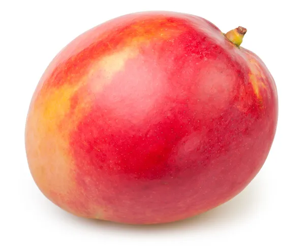 Mango, jeden czerwony — Zdjęcie stockowe