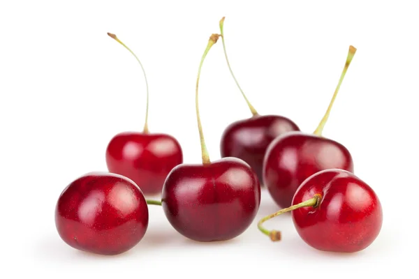 Cherry group — Stock Photo, Image