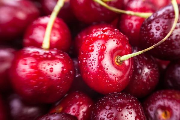 Třešeň makro — Stock fotografie