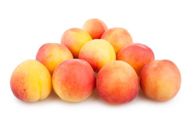 Kayısı üçgen grubu