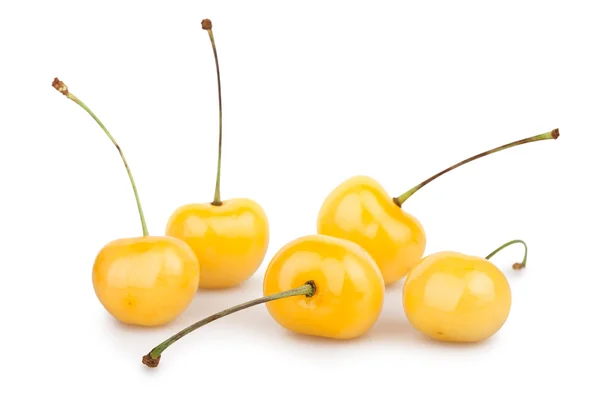 Cherry yellow group — Stock Photo, Image