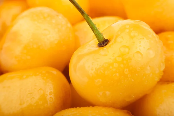 Cherry yellow — Stock Photo, Image