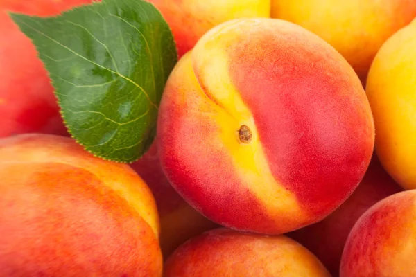 Apricots closeup — Stock Photo, Image