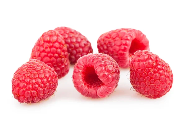 Raspberry group — Stock Photo, Image
