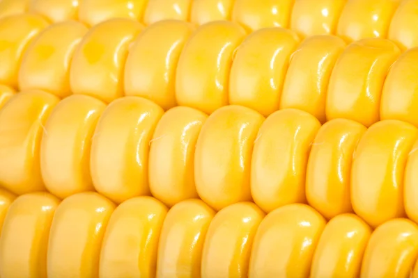 Corn kernels macro — Stock Photo, Image
