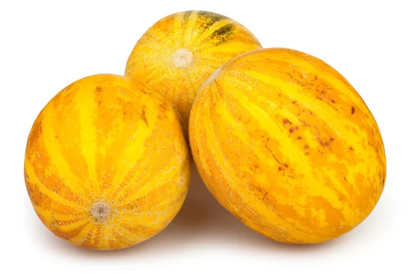 Kelompok melon — Stok Foto