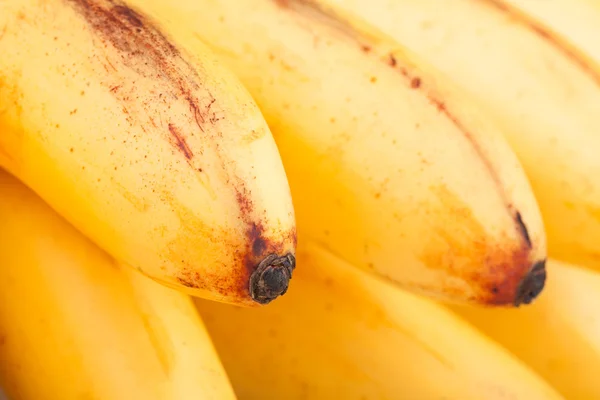 バナナ マクロ — ストック写真