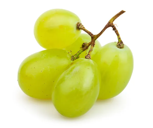 Białych winogron klastra małych — Zdjęcie stockowe