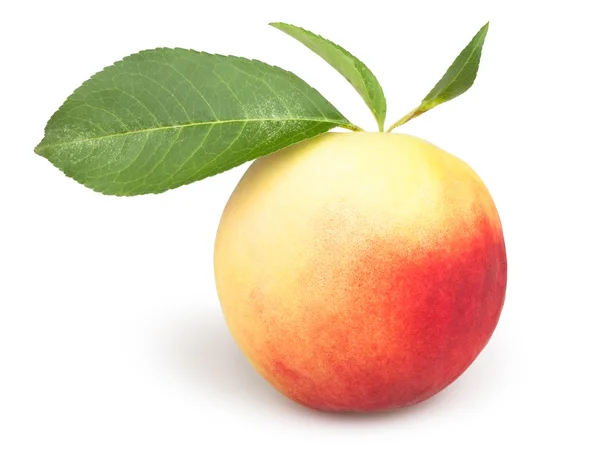 Peaches one leaves — Stock Photo, Image