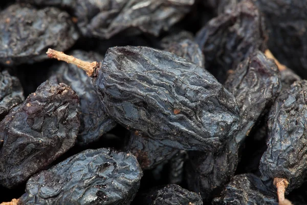 Raisins secs noir beaucoup macro — Photo