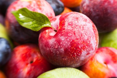 Erik meyve karışımı