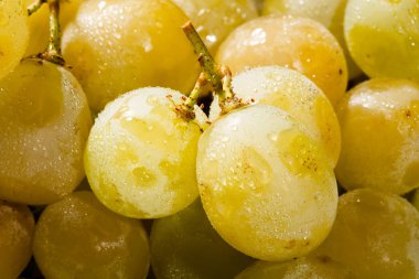 Muscat üzüm