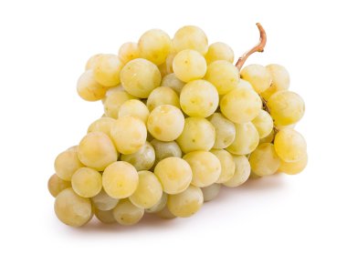 Muscat üzüm