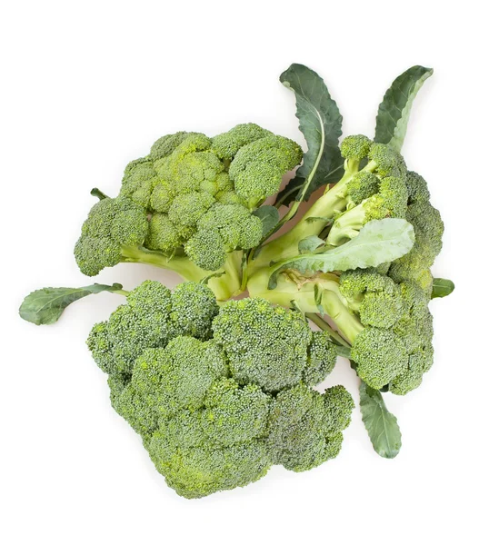 Grupa brokuły — Zdjęcie stockowe