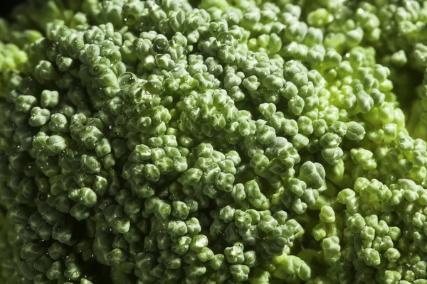 Brokuły florets makro — Zdjęcie stockowe