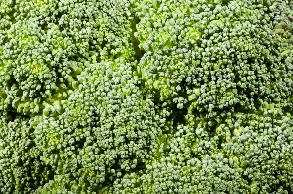 Broccoli florets textura — Fotografia de Stock