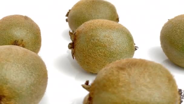 Gugus Kiwi Pada Latar Belakang Putih — Stok Video