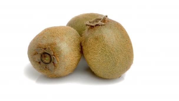 Gugus Kiwi Pada Latar Belakang Putih — Stok Video