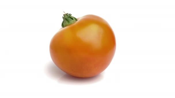 Orange Tomate Auf Weißem Hintergrund — Stockvideo