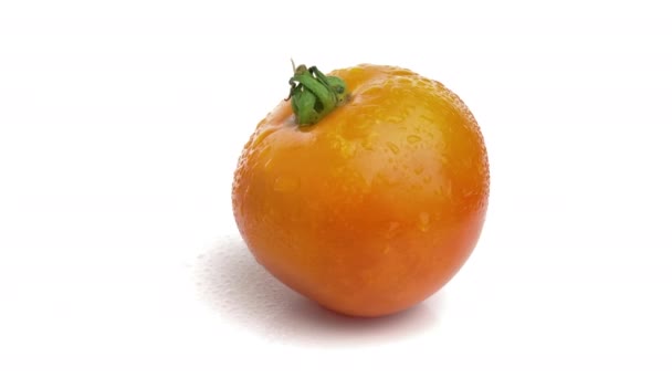 Tomate Laranja Sobre Fundo Branco — Vídeo de Stock