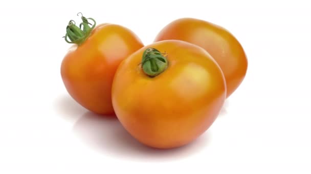 白い背景の上のオレンジ色のトマト — ストック動画