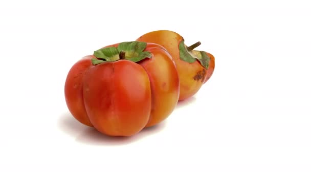白を基調とした柿の切り身 — ストック動画