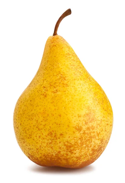 Yellow Pear Path Isolated White — 图库照片