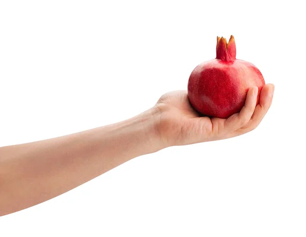 Pomegranate Hand Path Isolated White — Stock Photo, Image